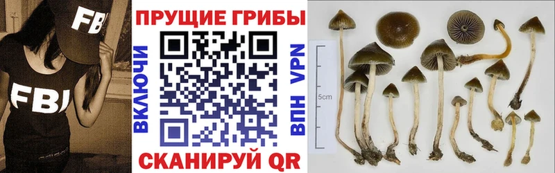 Псилоцибиновые грибы мицелий  площадка Telegram  Череповец 