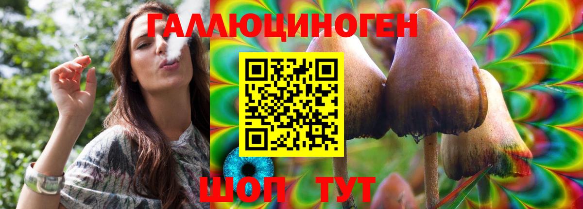 Галлюциногенные грибы Psilocybe  Галлюциногенные грибы ЛСД  Череповец  Вход с VPN 